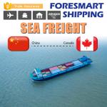 24h Online North American Freight Logistics Door To Door Sea Freight for sale
