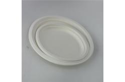 China Disposable Sugarcane Pulp Bagasse Paper Plate Biodegradable for Party / Wedding supplier