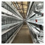 Hot Galvanized Automatic Layer Cage Broiler Cage For Farm Equipment Automatic Chicken Cage  System for sale