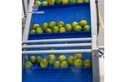 China Customizable Fruit And Vegetable Packaging Machine for Silver Packaging Needs supplier