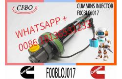 China Fuel Injector Assembly F00BLOJ017 F00BLOJ018 0986435611 F00BLOJ019 Y431K05246For Qsk19 Engine supplier