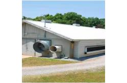 China Easy Assembly Steel Structure Chicken House Customized For Poultry Farm Building supplier