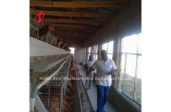 China Galvanized Steel Poultry Battery Cage System For Poultry Chicken Farms Using Sandy supplier