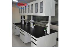 China Durable Antirust Lab Work Bench , Chemical Resistant Lab Cabinets And Countertops supplier