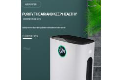 China HOMEFISH 480M3/H Household Air Purifier UV Sterilization Coverage Area 50-100m2 supplier