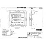 FSTN Positive Monochrome Lcd Panel Module Low Power Consumption