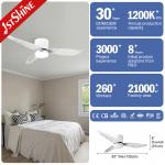 2- 1stshine Bedroom LED Ceiling Fan with Acrylic Blades and Remote Control Light