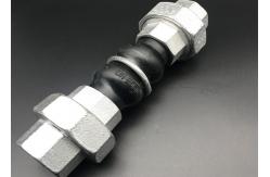 China BSPT Threaded Rubber Expansion Joint NPT Double Sphere Flex Connector Compensator supplier