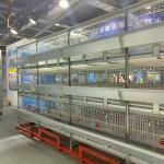 Hot Galvanizing Poultry Farm Cage , 3 / 4 Tiers Chicken Steel Cage For Layers Chickens for sale