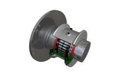 China Bibby Serpentine Spring Taper Grid Coupling Standard With Brake Disc JSP Coupling supplier