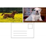 Flip Effect 3D Lenticular Postcard Cute Puppies and Kittens Design