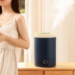 2L Ultrasonic Aromatherapy Diffuser with Timer Aroma Diffuser for sale