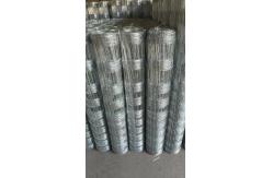 China Versatile Metal Link Fencing Powder Coated Finish Adjustable Post Lengths supplier
