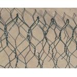 PET 100x120mm galvanized hexagonal chicken wire mesh ecological governance