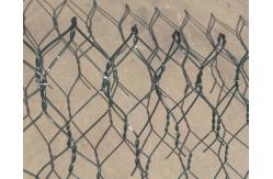 China PET 100x120mm galvanized hexagonal chicken wire mesh ecological governance supplier