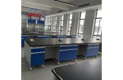 China High Safety and Some Assembly Required Lab Bench with Sink Manufacturers supplier