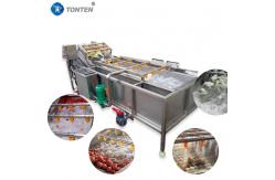 China 440V Food Cleaning Machine Industrial Vegetable Washing Machine For Olives Avocado supplier