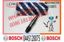 China Diesel Engine Common Rail Injector Assembly 0445120075 supplier