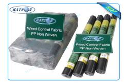 China Biodegradable Non Woven Landscape Fabric Roll Packing for Garden Plant Protection supplier