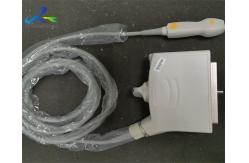 China Toshiba PST-50BT Sector Array Ultrasound Transducer Probe Medical Equipment supplier
