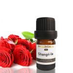 Hotel Aromatherapy Aroma Diffuser Essential Oil Liquid Sustainable
