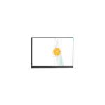 F063A04-6T1 6.3 inch LCD Display Screen for Mobile Phone for sale