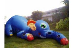 China Inflatable Animal Tunnel, Inflatable Elephant Trunk Tunnel Games supplier