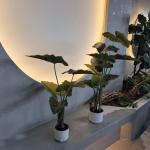 Hypoallergenic Plastic Artificial Plants Realistic Uv Resistant 70-95CM