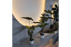 China Hypoallergenic Plastic Artificial Plants Realistic Uv Resistant 70-95CM supplier