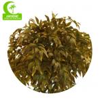 Natural Look 160cm Artificial Ficus Tree For Garden Decoration