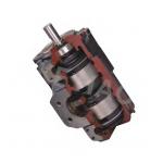 T6、T67、T7 Series Double Vane Pump , Cartridge Stainless Steel Gear Pump for sale