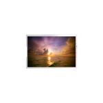 new 11.0 inch TV110WUM-LM0 LCD panel Module for sale