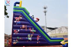 China Commercial Inflatable Mario Theme Inflatable Slide Pvc Inflatable Castle supplier