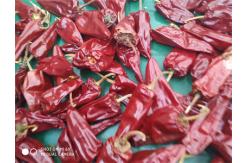 China Grade A 3000-5000shu Jinta Chilli Pepper With Sweet Taste supplier