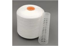China 2025 Hot Sell 40/2 Spun Polyester Yarn for Polyester Sewing Thread supplier