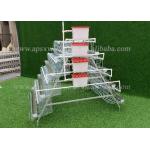 High Egg Production Hdg A Frame Layer Cages Automatic System For Commercial Chicken Farming for sale