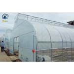 Commercial Tunnel Flower Vegetable Growing Greenhouse Hot Galvanized Steel Structure for sale