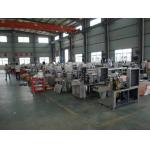 220V 2kw Laundry Detergent Tablet Packing Machine