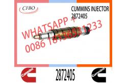 China Fuel Injector Assembly 2872544 2086663 2057401 2872405 203183 Common Rail Injector supplier