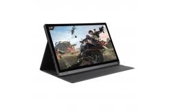 China IPS FHD 15 Inch Hopestar Monitor supplier