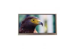 China C080VTN05.0 8.0 inch tft LCD Panel Display supplier
