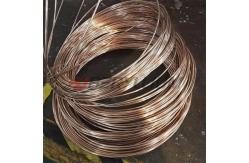 China CuBe2 Uns C17200 Tf00 Th04 Beryllium Copper Spring Wires High Strength supplier