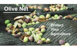 China Customized Olive Harvest Net 5x10m 6x12m Fruit Tree Harvest Net Green supplier