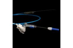 China Wire Guide Balloon Dilatation Catheter Length 1800mm And 2300mm CE Approval supplier