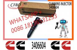 China PT Injector 3095773 3406604 3016676 3411821 3064881 3054218 3018566 supplier