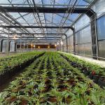 LED Light Deprivation Greenhouse With Shading And Security System for sale