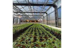 China LED Light Deprivation Greenhouse With Shading And Security System supplier