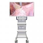 Medical Endoscope Monitor Camera With Screen 55inch for sale