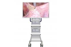 China Medical Endoscope Monitor Camera With Screen 55inch supplier