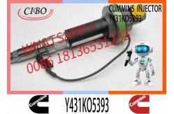 China Fuel Injector Assembly 2867147 2882077 4955524 Y431KO5393 2882078For Qsk19 Engine supplier